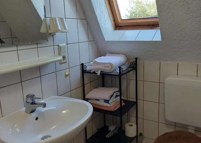 公寓 Haus Ruth Mittel-Hambach